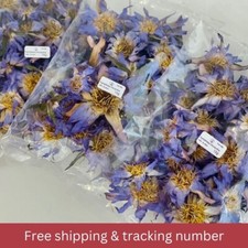 Blue Lotus Whole Flower Egyptian Lotus Thai Blue Nymphaea N.caerulea, Siamese