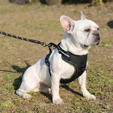 No Pull Dog Pet Harness Adjustable Control Vest Dogs Reflective No Choke 2024