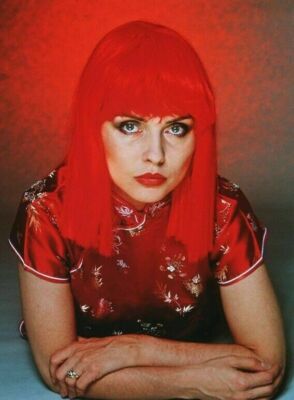 DEBBIE HARRY Poster Celebrity Print Art Photo Poster 3 (20x30)