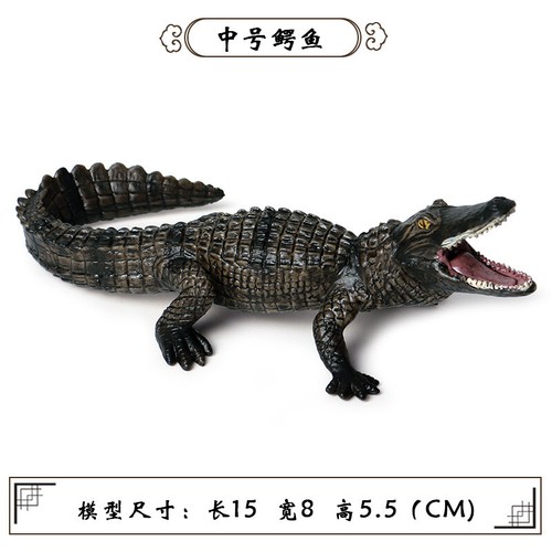 Simulated Amphibian Crocodile Children Cognition Toy Models - Picture 6 of 11