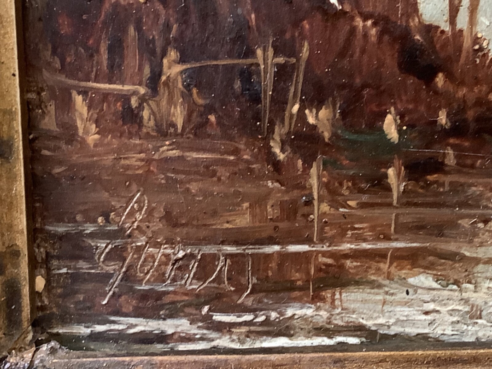 Picture 7 of 11