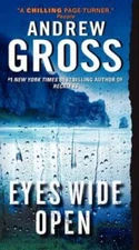 Eyes Wide Open - Mass Market Paperback By Gross, Andrew - GOOD