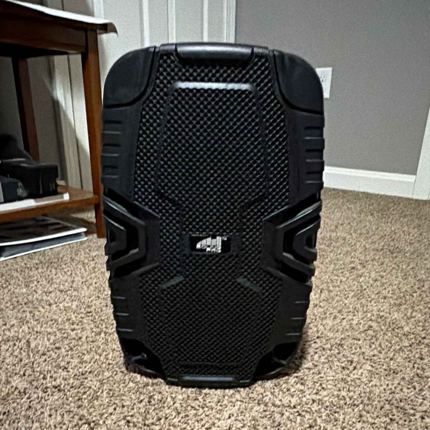 ASG-8800 Portable PA Speaker 8" Black 200W RMS Wired 6.35mm FM