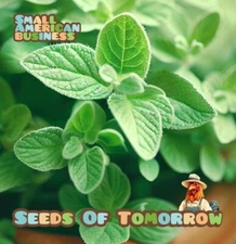 10k ORGANIC Non-GMO Italian Oregano Seeds - With Bonus!