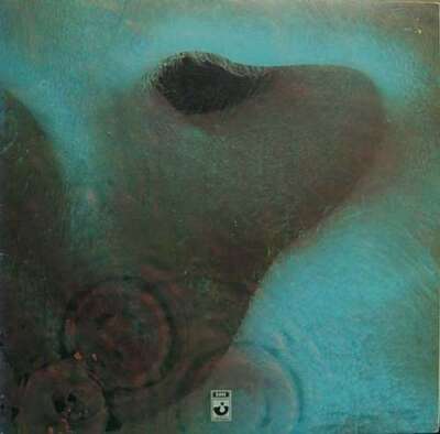 Pink Floyd Meddle LP Album RE Gat Vinyl Schallplatte 0066