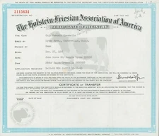 1949 Holstein Friesian Certificate Of Registry Castroville CA Cow Diagram ZC