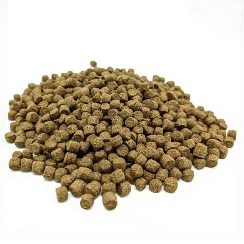 Koifutter 2kg schwimmend 5mm KENKOU Nr.1 Vital für Teichfutter für Koi - Bild 11 von 13