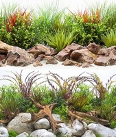 Doppelseitiger Hintergrund Amtra Fluss Blister 30X60Cm Amtra