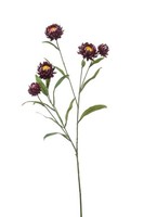 Artplants Kunst Zweig Strohblume Snavik, Lila, 70Cm