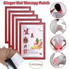 6-120PCS Ginger Patches Rheumatism Neck Back Joint Pain Relief Arthritis Plaster