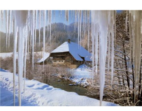 1000 Pieces Puzzle, Icicles, TREFL 10180 - Picture 1 of 1