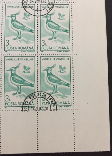 Rumänien 1991 Vögel Komplettset (40 Briefmarken) CTO NH 3639-3648 - Bild 8 von 12