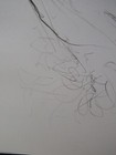 Picture 8 of 21