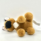 Bild 6 von 8