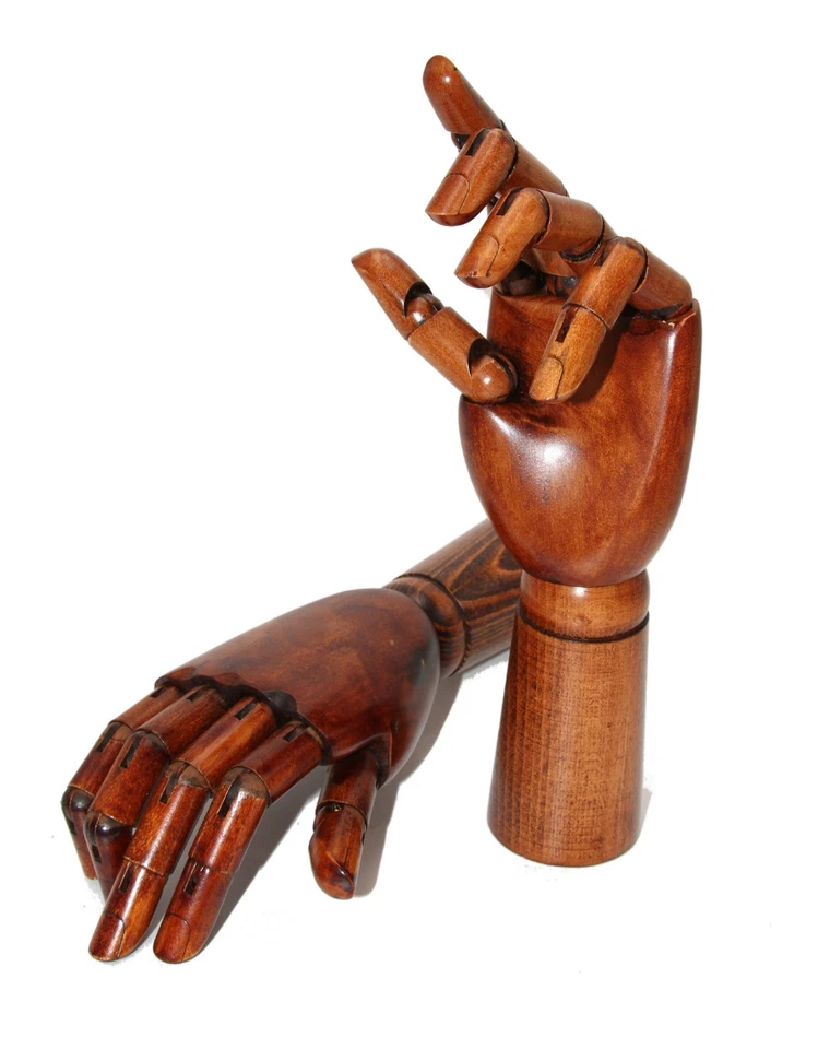 Gliederhand, Holzhand 18, 25 oder 30cm SAMAK-Holz FSC, bewegliche Modellhand - Bild 3 von 4
