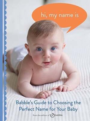 Hi, My Name Is: Babble's Guide to Choosing the Perfect Name for Your Baby: Used