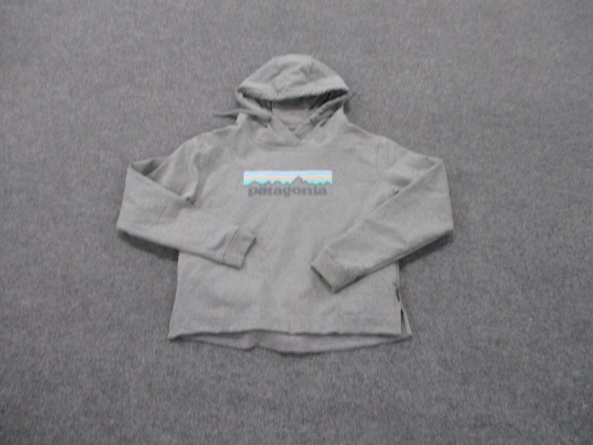 Patagonia hotsell grey sweatshirt