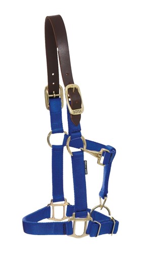 CONTENITORE PER MANGIME DA 200 LT In Prodotti Da Agri Zoo, Zootecnica E Tutto Per Il Cavallo - Foto 10