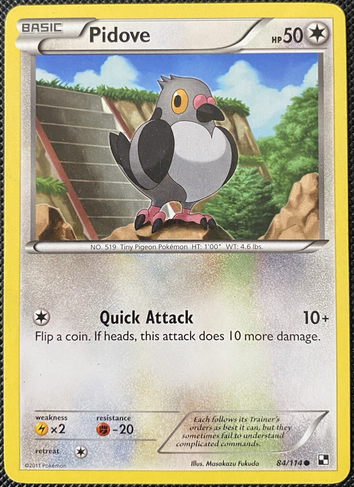 Pidove 84/114 Black & White Regular - Pokémon Card