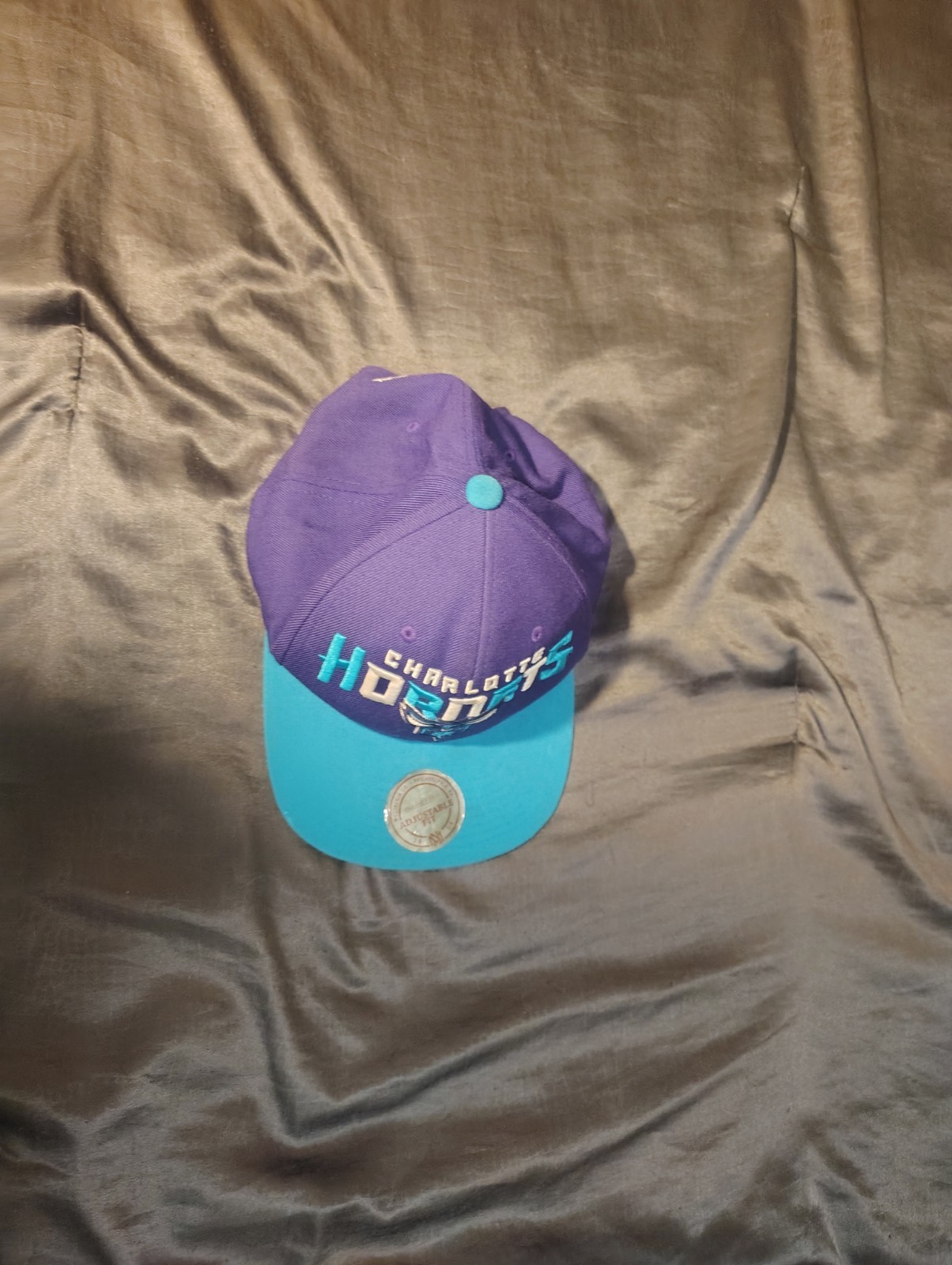 Charlotte Hornet's hat vintage