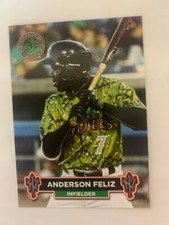 Anderson Feliz 2018 Norfolk Tides Team Card