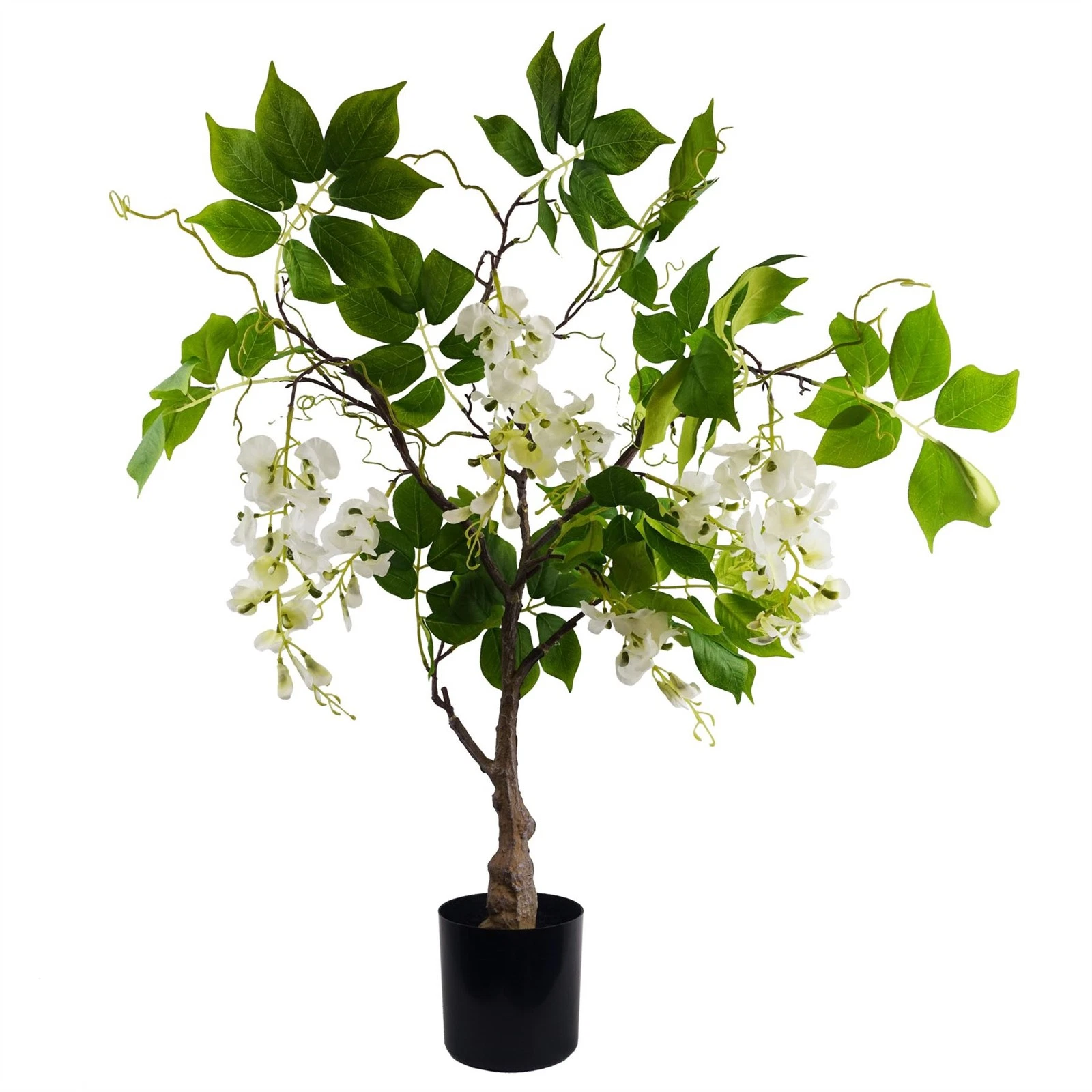 90cm White Wisteria Bush - 70429