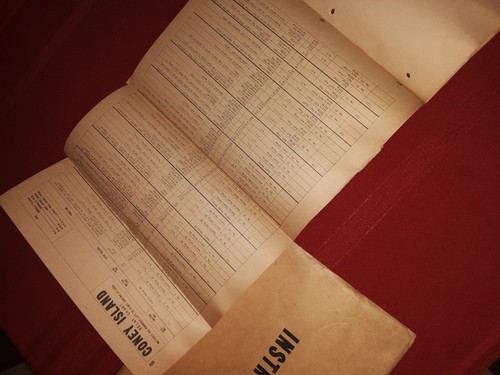 Bally Coney Island Pinball Manual 1951 w/ Schematics - 第 6/12 張圖片