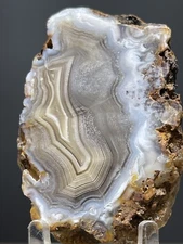 CALANDRIA AGATE POLISHED - Mineral Specimen Crystal Rock Banding Parallax Shadow