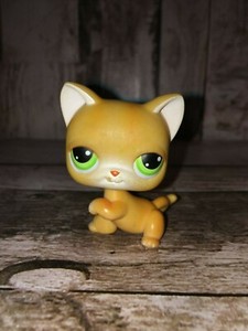 lps orange cat