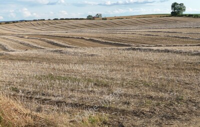 Photo 6x4 Farmland near Ovington Ovington/NZ0663 A pleasingly undulating c2010