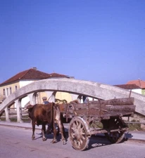 Vintage Stereo Realist Photo 3D Slide OXCART on Bridge