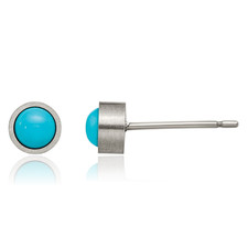 Titanium Turquoise 5mm Studs Earrings