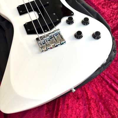 EDWARDS E-T-100TR DIR EN GREY Toshiya Model Electric Bass Guitar