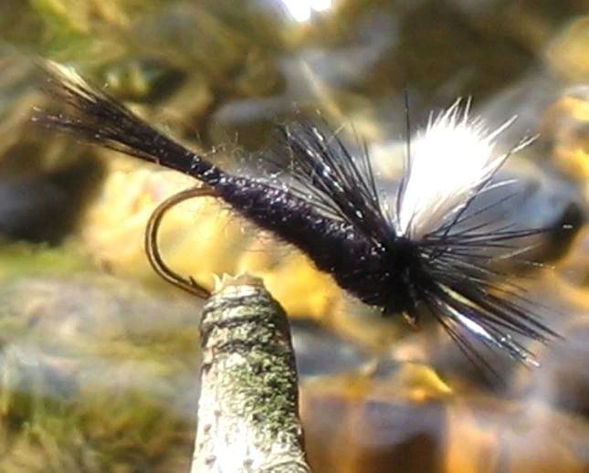 Gilchrist Fliegen. 3 x Trocken BLACK GNAT PARACHUTE. Mit & ohne Widerhaken