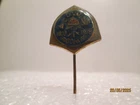 Volunteer Fire Department HRASCINA TRG Croatia  pin