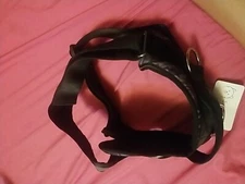 dog harness small