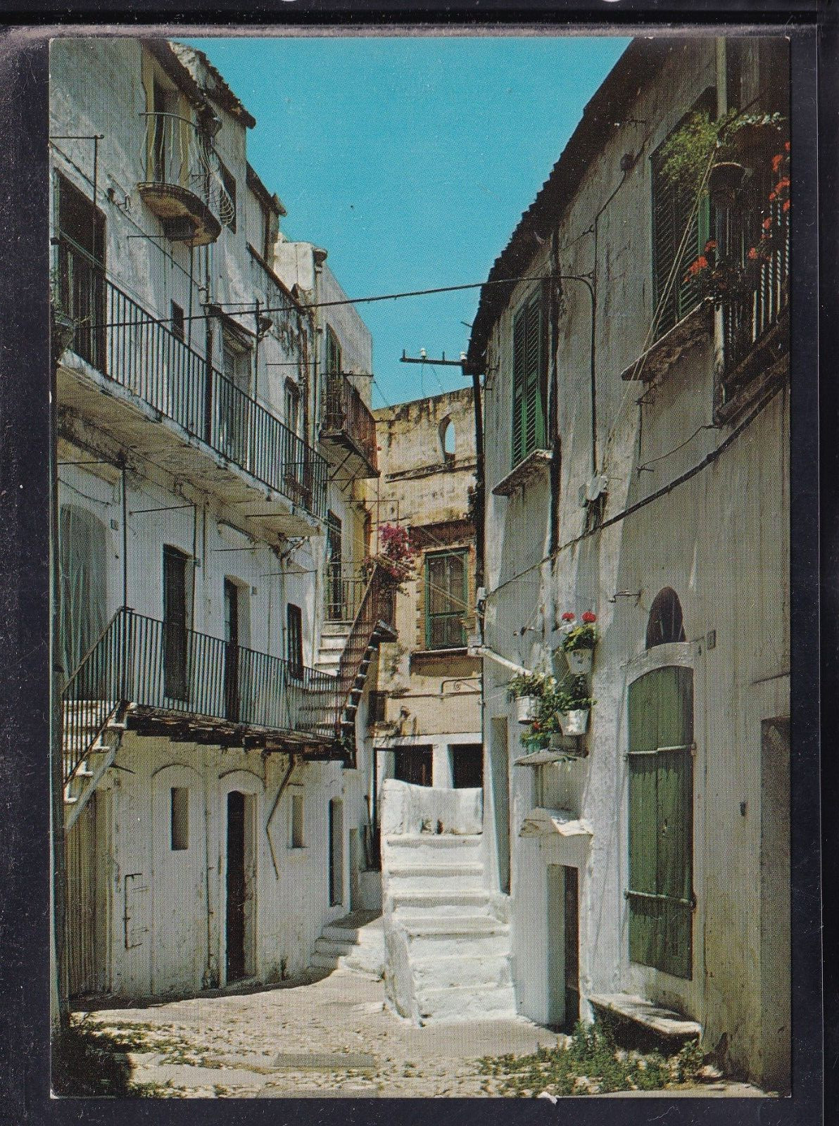 Cartolina Cagnano Varano Via Cannese RA297
