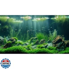 Aquarium Background Underwater Grass Leaves with Stone Aquarium Backdrop Vivi