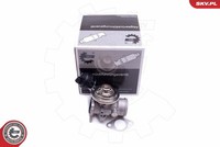 Esen SKV 14SKV206 Agr-Ventil FüR Audi,Seat,Vw