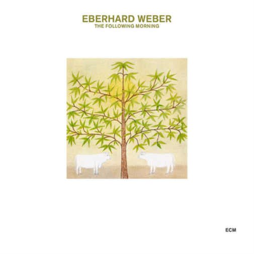 Eberhard Weber The Following Morning (CD) Album