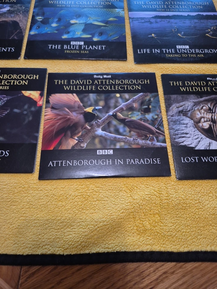 Daily Mail The David Attenborough Wildlife Collection 20 Dvd's - Image 2 of 3