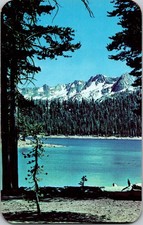 c1960s Horseshoe Lake Popular Swimming Spot Mammoth Lakes CA Postcard JR4