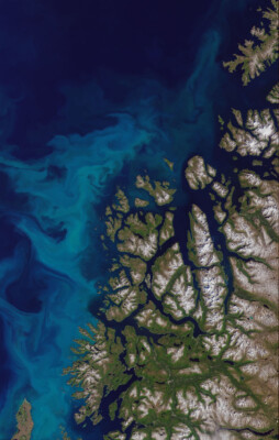 Phytoplankton Bloom Norway Norwegian Coast Space Satellite Photo Poster Print