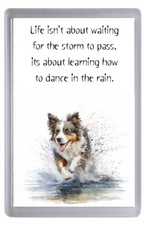 Australian Shepherd Dog No 3 Fridge Magnet "Dancing in the rain" Poem