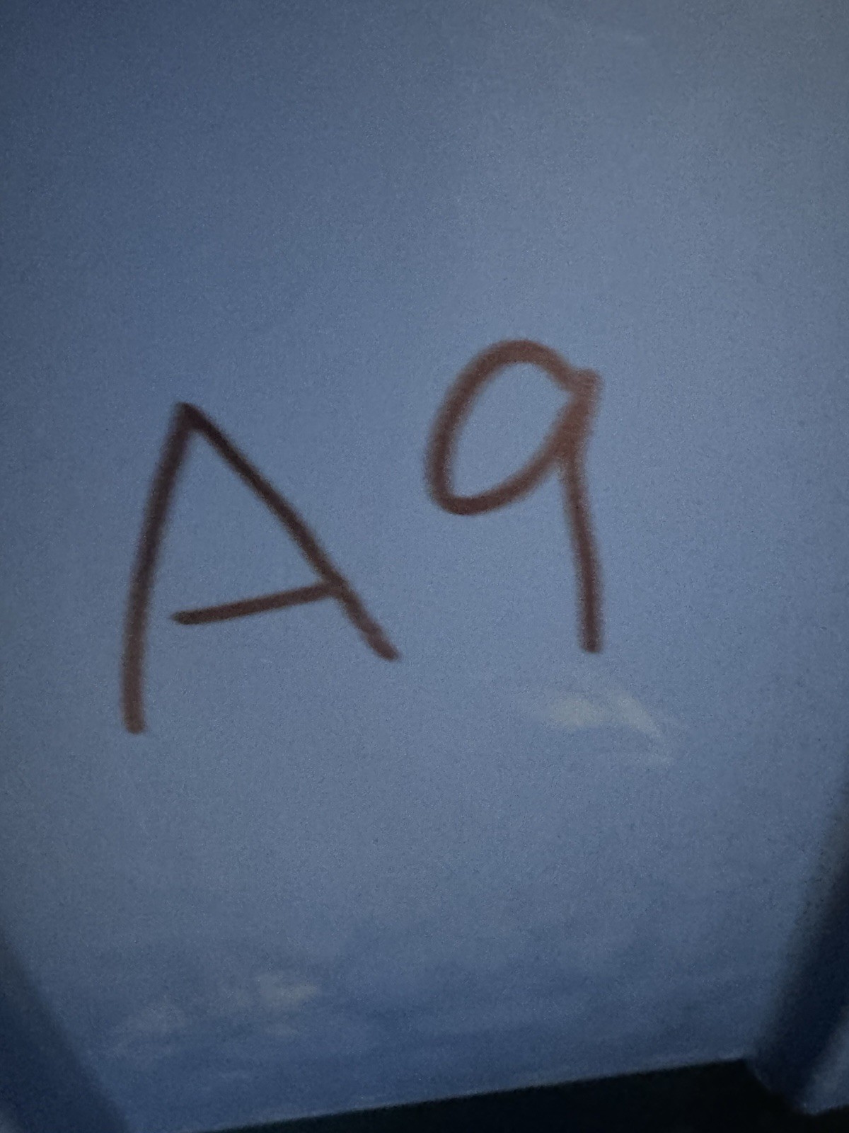 Picture 13 of 13