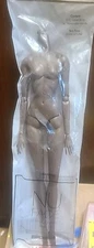 Nu Face 12.5 Inches  DARK-A-TONE DOLL BODY FASHION ROYALTY INTEGRITY TOYS NEW 