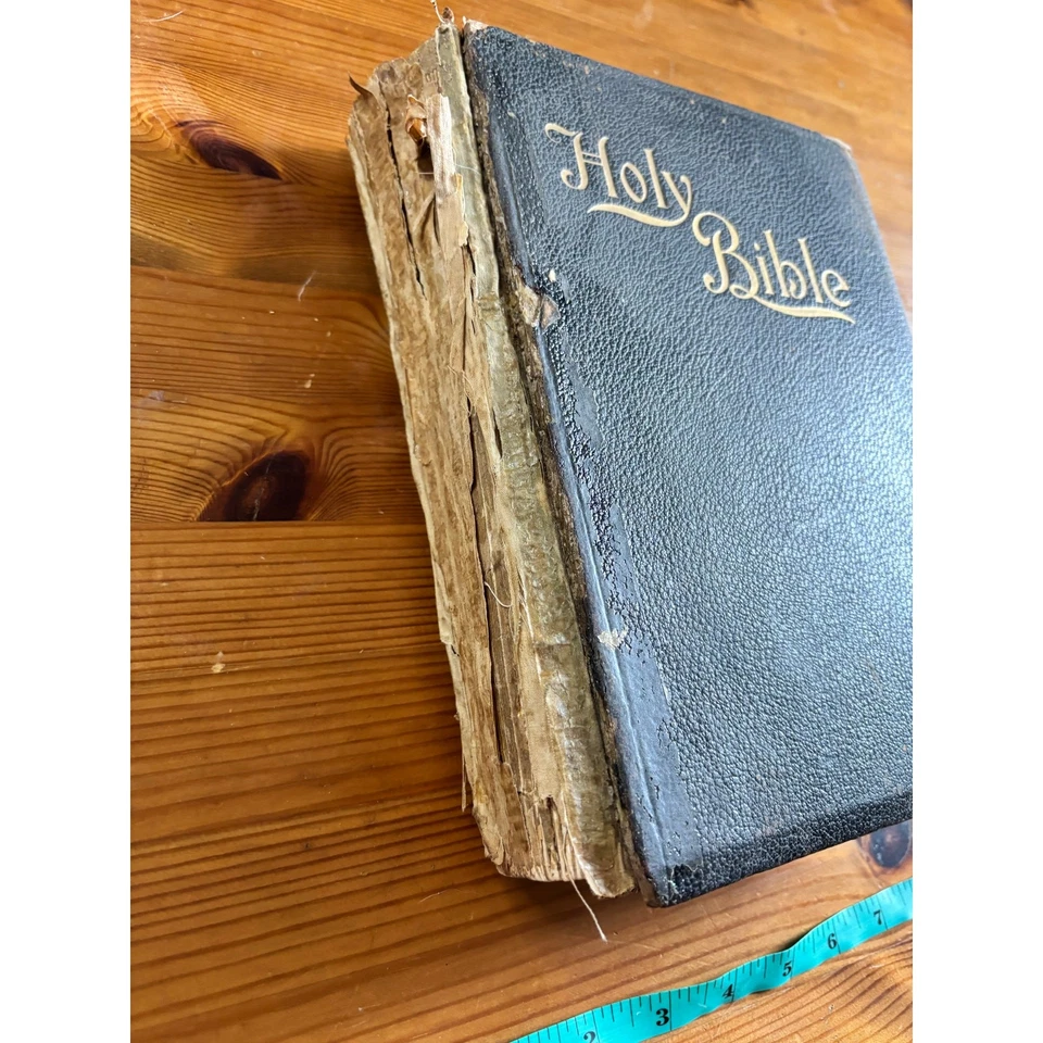 Antique The New Illuminated Holy Bible 1897 Frank E. Wright AS IS - Image 3 of 4