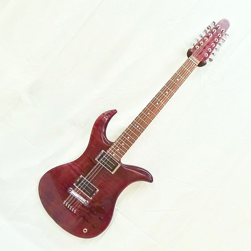 custom 12 string electric guitar