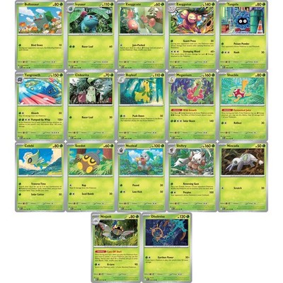 Pokemon Mega Evolution (2025) Common Sets Promo & ETB Accessories