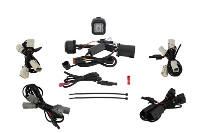 Diode Dynamics 21-23 Für Ford F-150 C1R Hitchmount LED Pod Reverse Set DD7649